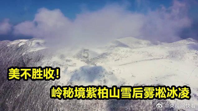 探索人际交往怎么改善,满足您的知识需求